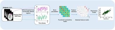 Connectome-Based Model Predicts Deep Brain Stimulation Outcome in Parkinson's Disease